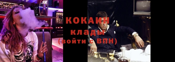крисы Каменка