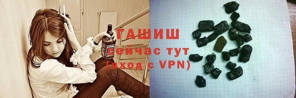 крисы Каменка
