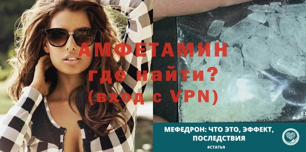 крисы Каменка