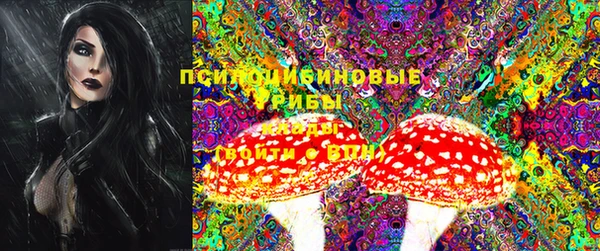 метадон Каменск-Шахтинский