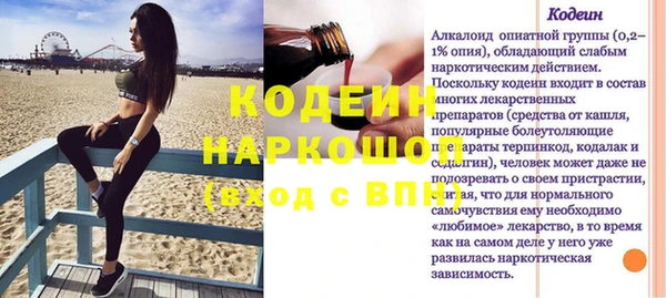 крисы Каменка