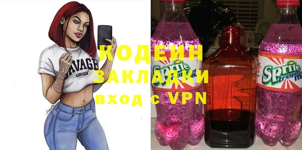крисы Каменка