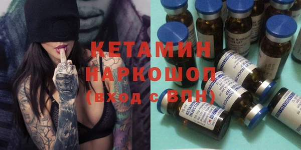 крисы Каменка