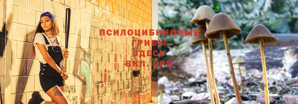 метадон Каменск-Шахтинский