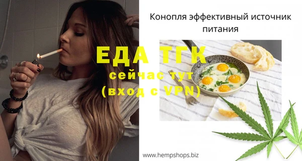 крисы Каменка