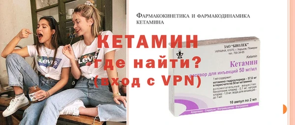 крисы Каменка