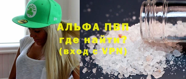 крисы Каменка