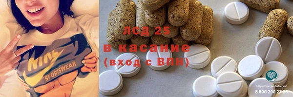 крисы Каменка