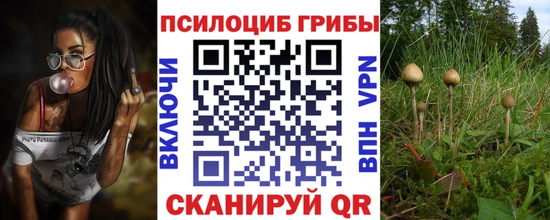 Псилоцибиновые грибы Psilocybine cubensis  Купить где  Ипатово 